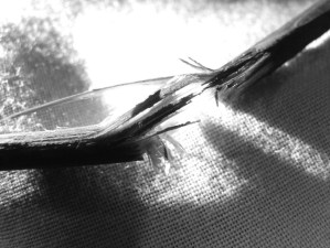 Stick Rupt The Stick……in the O.J. Simpson Case and its LEGACY OF DECEPTION ...