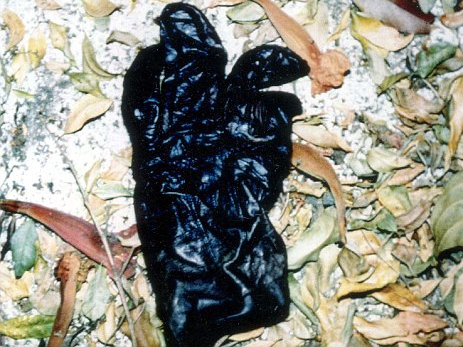 glove found at Simpson home