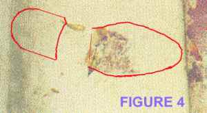 bruno magli full shoe outline at bundy