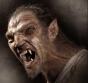 images8HD8064T werewolf 2