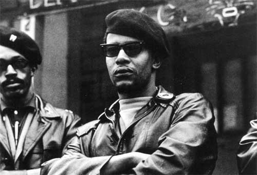 black panthers