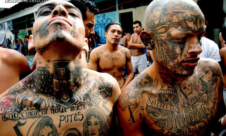 gang members in latin america